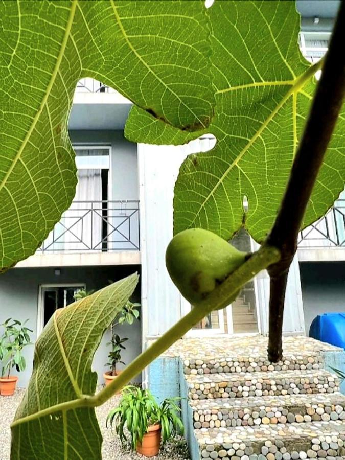 Rio Gonio Otel Dış mekan fotoğraf