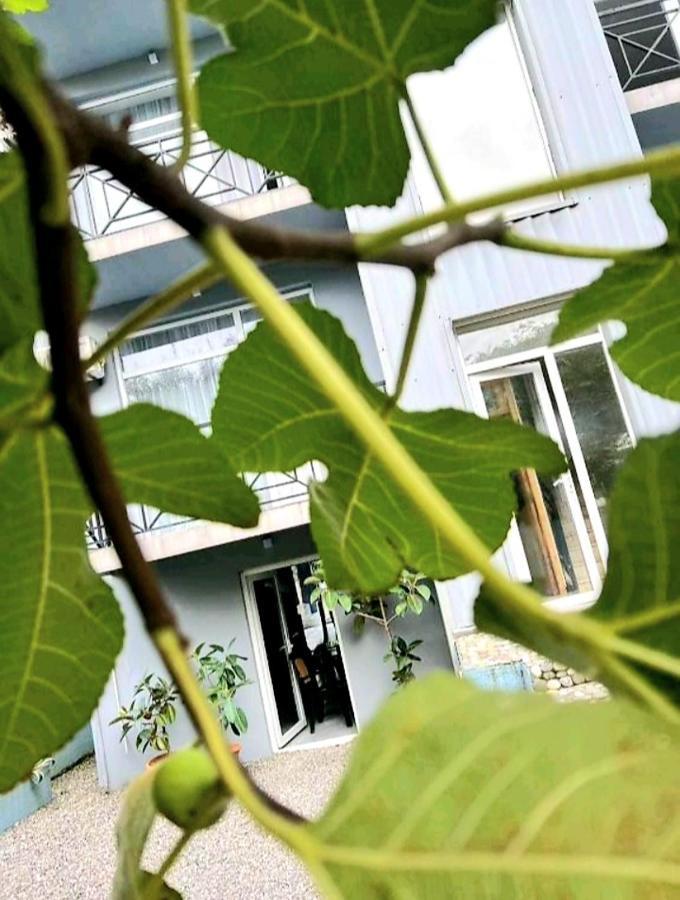 Rio Gonio Otel Dış mekan fotoğraf